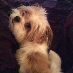 Meet your Posher, Kfizzle